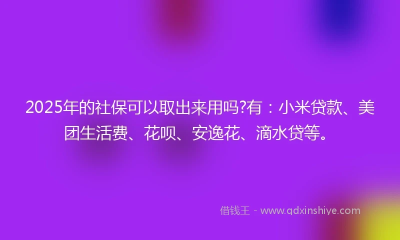 2025年的社保可以取出来用吗?有：小米贷款、美团生活费、花呗、安逸花、滴水贷等。