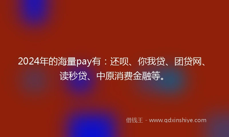 2024年的海量pay有：还呗、你我贷、团贷网、读秒贷、中原消费金融等。