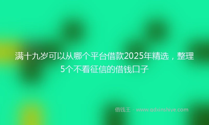 满十九岁可以从哪个平台借款2025年精选，整理5个不看征信的借钱口子