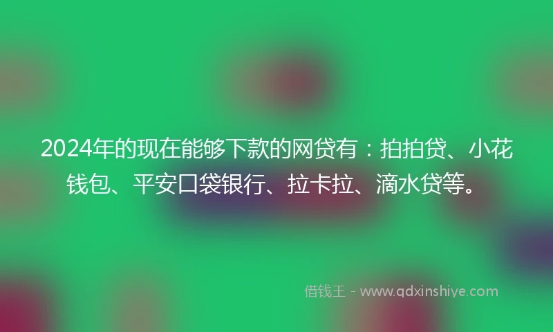 2024年的现在能够下款的网贷有：拍拍贷、小花钱包、平安口袋银行、拉卡拉、滴水贷等。