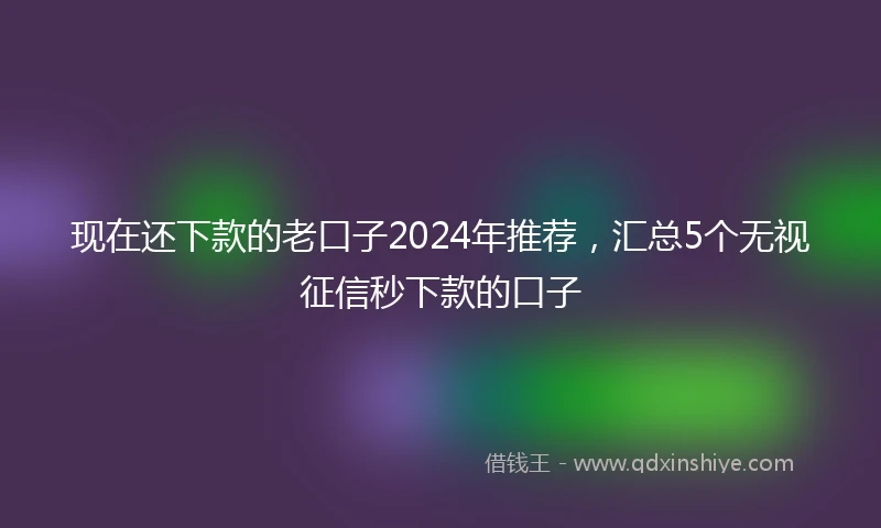 现在还下款的老口子2024年推荐，汇总5个无视征信秒下款的口子