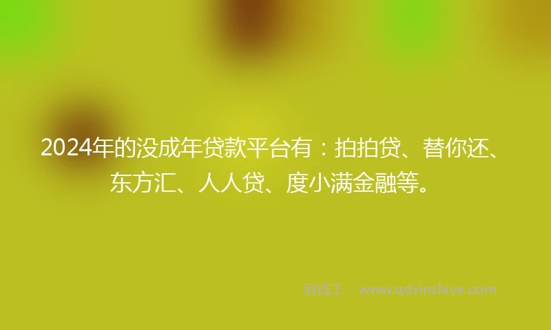 2024年的没成年贷款平台有：拍拍贷、替你还、东方汇、人人贷、度小满金融等。