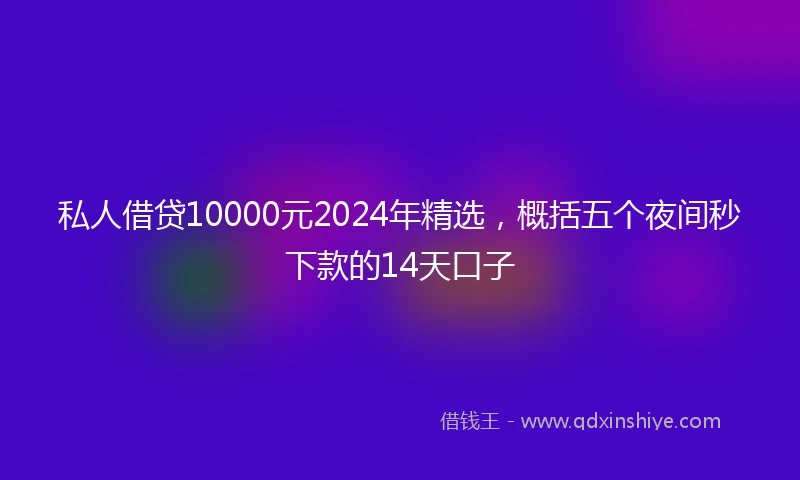 私人借贷10000元2024年精选，概括五个夜间秒下款的14天口子