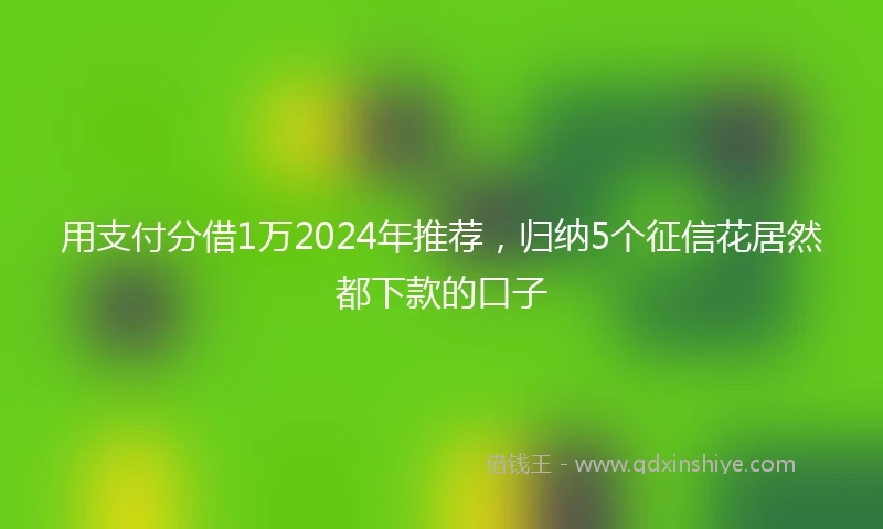 用支付分借1万2024年推荐,归纳5个征信花居然都下款的口子