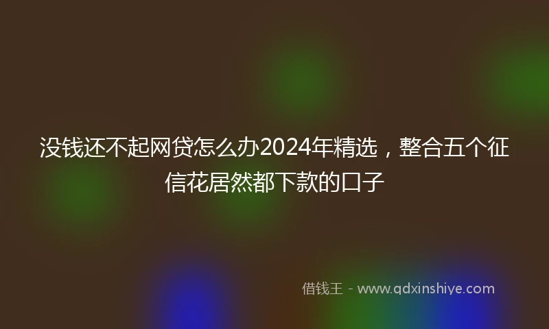 没钱还不起网贷怎么办2024年精选，整合五个征信花居然都下款的口子