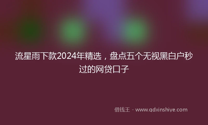 流星雨下款2024年精选，盘点五个无视黑白户秒过的网贷口子