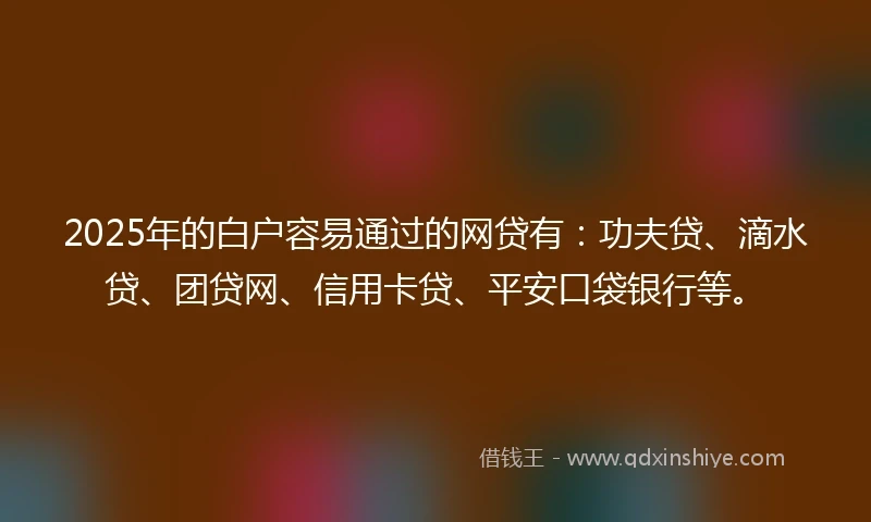 2025年的白户容易通过的网贷有：功夫贷、滴水贷、团贷网、信用卡贷、平安口袋银行等。