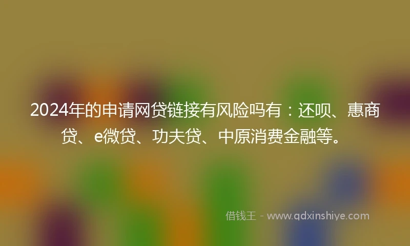 2024年的申请网贷链接有风险吗有：还呗、惠商贷、e微贷、功夫贷、中原消费金融等。