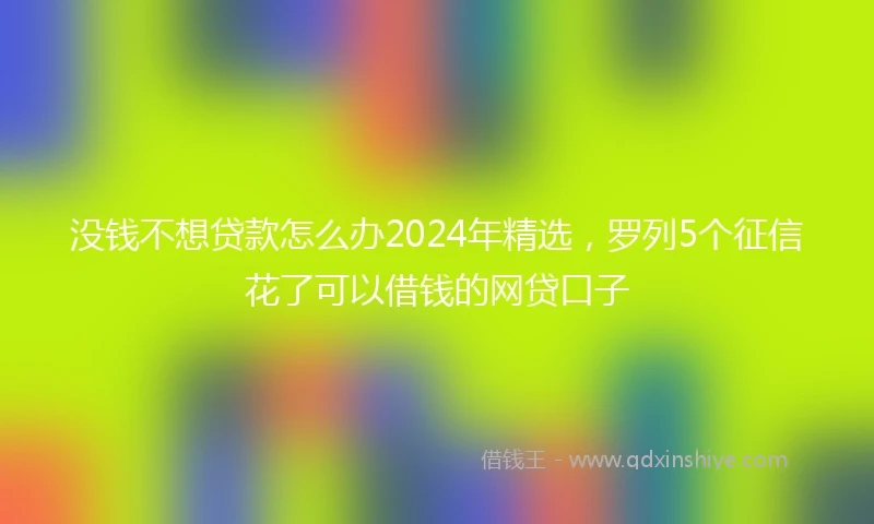 没钱不想贷款怎么办2024年精选，罗列5个征信花了可以借钱的网贷口子