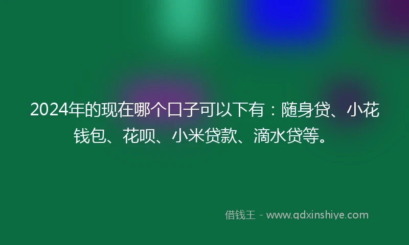 2024年的现在哪个口子可以下有：随身贷、小花钱包、花呗、小米贷款、滴水贷等。
