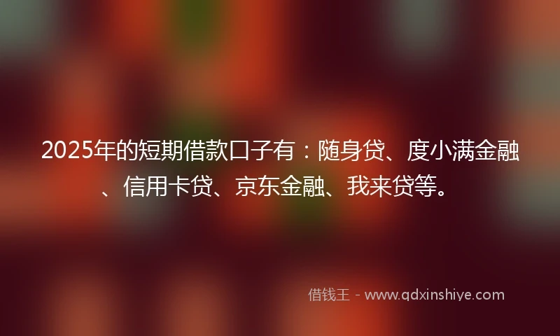 2025年的短期借款口子有：随身贷、度小满金融、信用卡贷、京东金融、我来贷等。