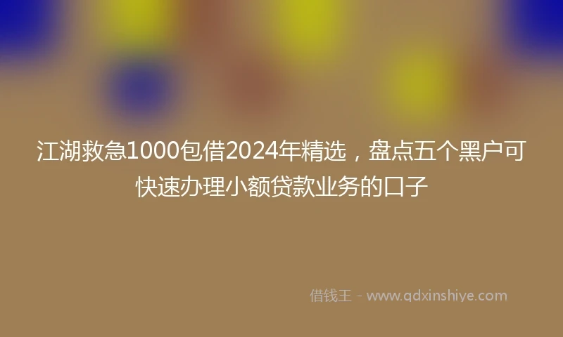 江湖救急1000包借2024年精选，盘点五个黑户可快速办理小额贷款业务的口子