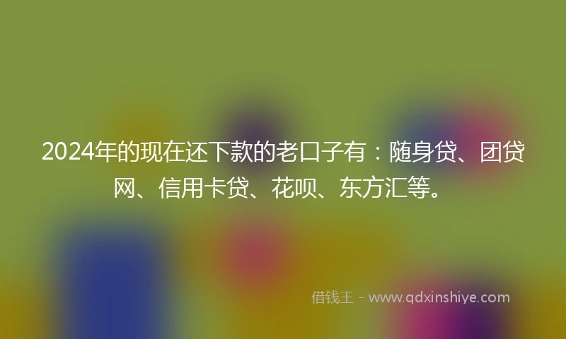 2024年的现在还下款的老口子有：随身贷、团贷网、信用卡贷、花呗、东方汇等。