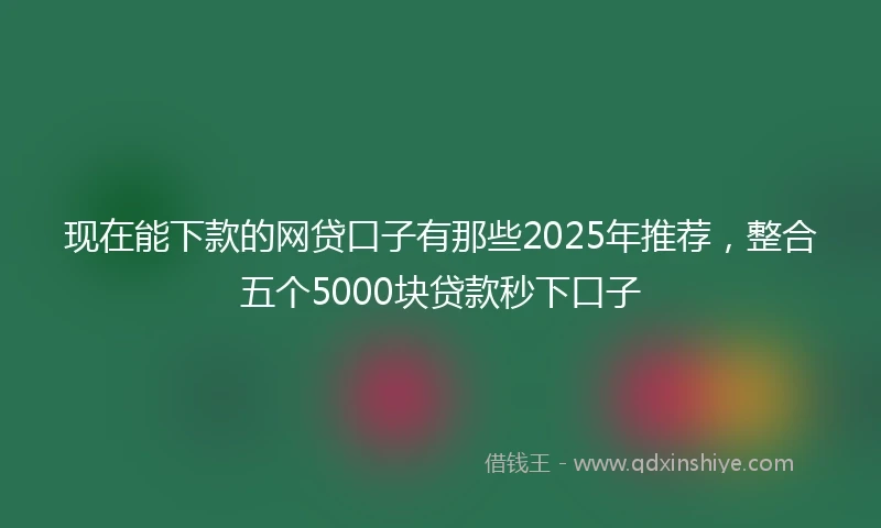 现在能下款的网贷口子有那些2025年推荐，整合五个5000块贷款秒下口子