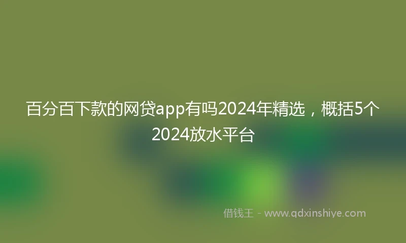 百分百下款的网贷app有吗2024年精选，概括5个2024放水平台