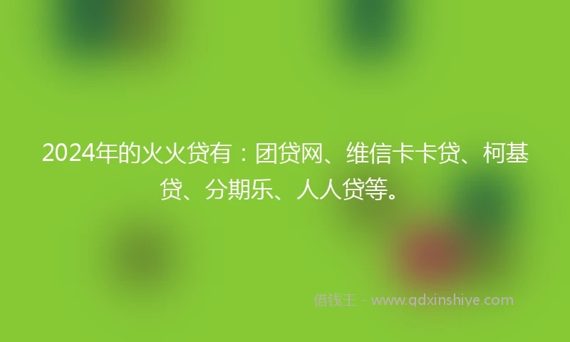 2024年的火火贷有：团贷网、维信卡卡贷、柯基贷、分期乐、人人贷等。