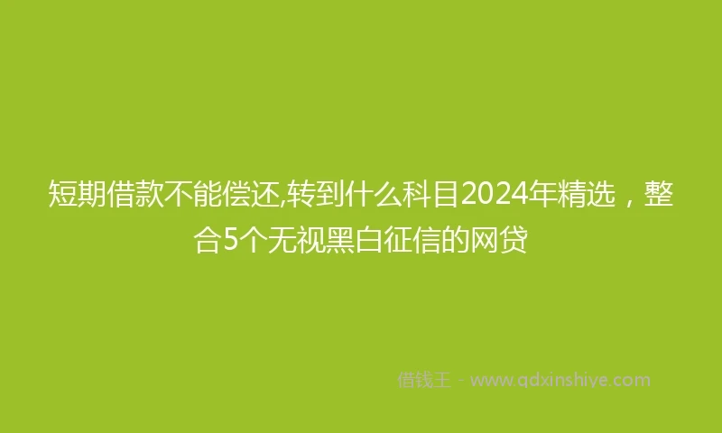 短期借款不能偿还,转到什么科目2024年精选，整合5个无视黑白征信的网贷