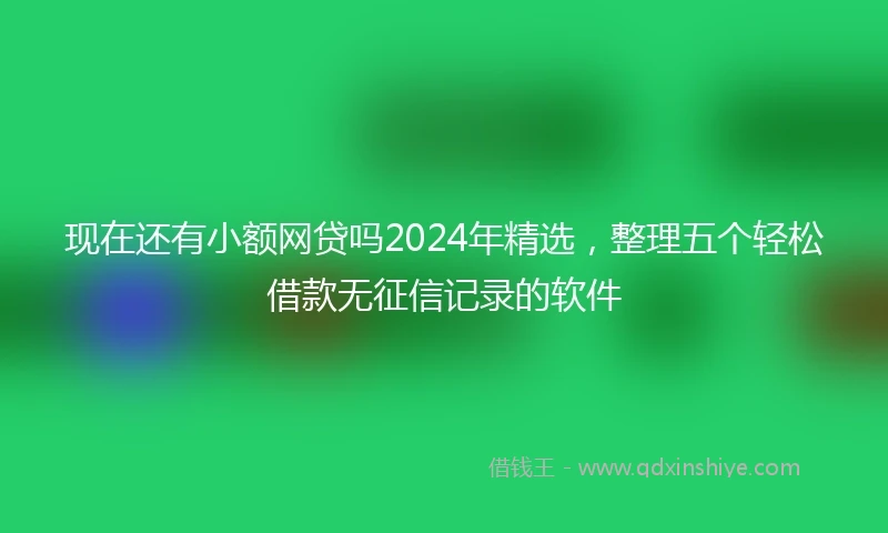 现在还有小额网贷吗2024年精选，整理五个轻松借款无征信记录的软件