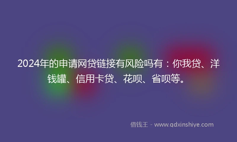 2024年的申请网贷链接有风险吗有：你我贷、洋钱罐、信用卡贷、花呗、省呗等。