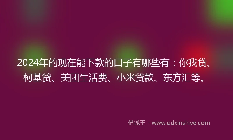 2024年的现在能下款的口子有哪些有：你我贷、柯基贷、美团生活费、小米贷款、东方汇等。