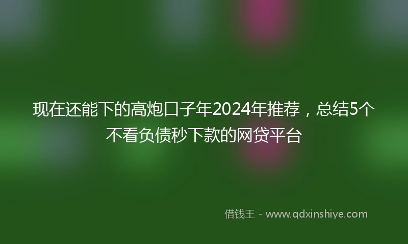 现在还能下的高炮口子年2024年推荐，总结5个不看负债秒下款的网贷平台
