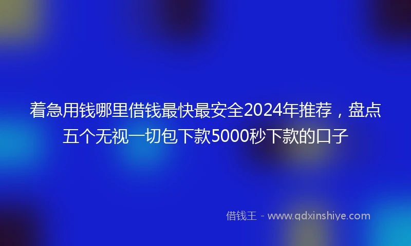 着急用钱哪里借钱最快最安全2024年推荐，盘点五个无视一切包下款5000秒下款的口子