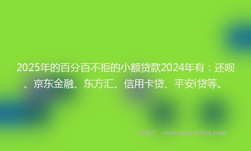 2025年的百分百不拒的小额贷款2024年有：还呗、京东金融、东方汇、信用卡贷、平安i贷等。