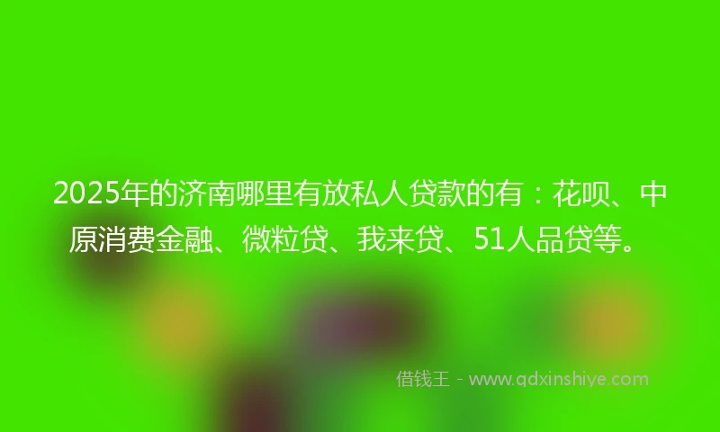 2025年的济南哪里有放私人贷款的有:花呗、中原消费金融、微粒贷、我来贷、51人品贷等。