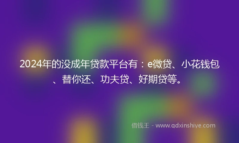 2024年的没成年贷款平台有：e微贷、小花钱包、替你还、功夫贷、好期贷等。