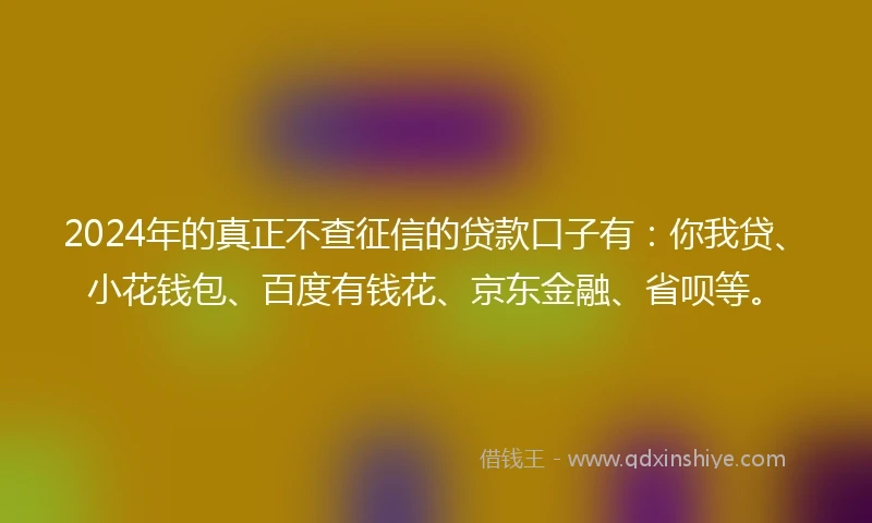 2024年的真正不查征信的贷款口子有：你我贷、小花钱包、百度有钱花、京东金融、省呗等。