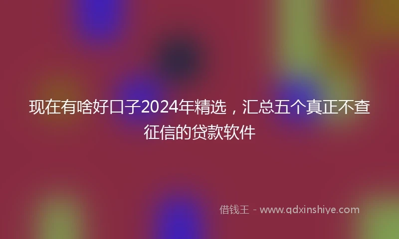 现在有啥好口子2024年精选，汇总五个真正不查征信的贷款软件