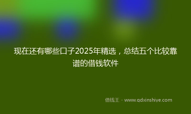 现在还有哪些口子2025年精选，总结五个比较靠谱的借钱软件