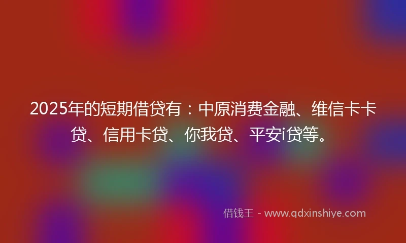 2025年的短期借贷有:中原消费金融、维信卡卡贷、信用卡贷、你我贷、平安i贷等。