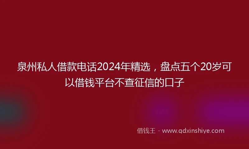 泉州私人借款电话2024年精选，盘点五个20岁可以借钱平台不查征信的口子