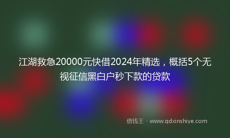 江湖救急20000元快借2024年精选，概括5个无视征信黑白户秒下款的贷款