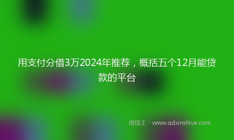 用支付分借3万2024年推荐，概括五个12月能贷款的平台