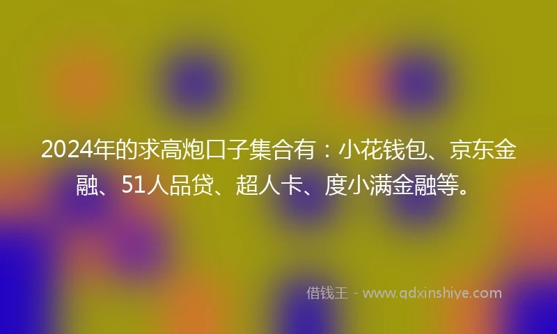 2024年的求高炮口子集合有：小花钱包、京东金融、51人品贷、超人卡、度小满金融等。