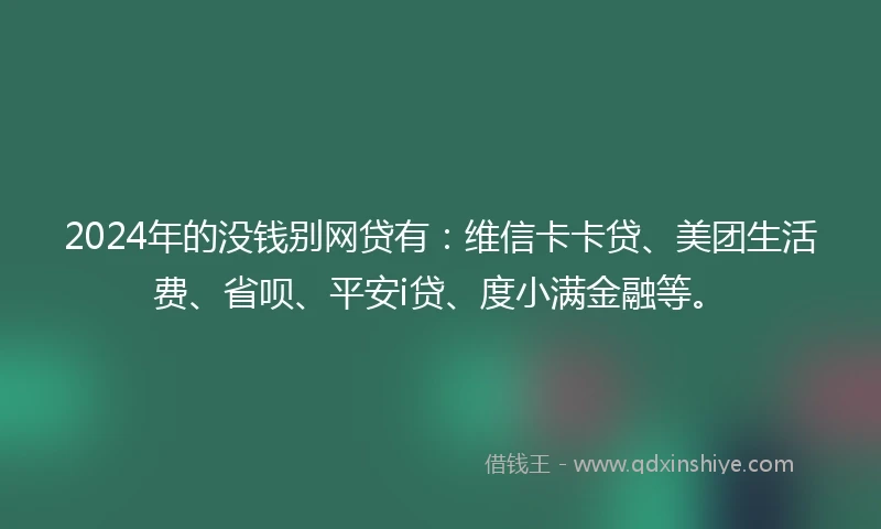 2024年的没钱别网贷有：维信卡卡贷、美团生活费、省呗、平安i贷、度小满金融等。