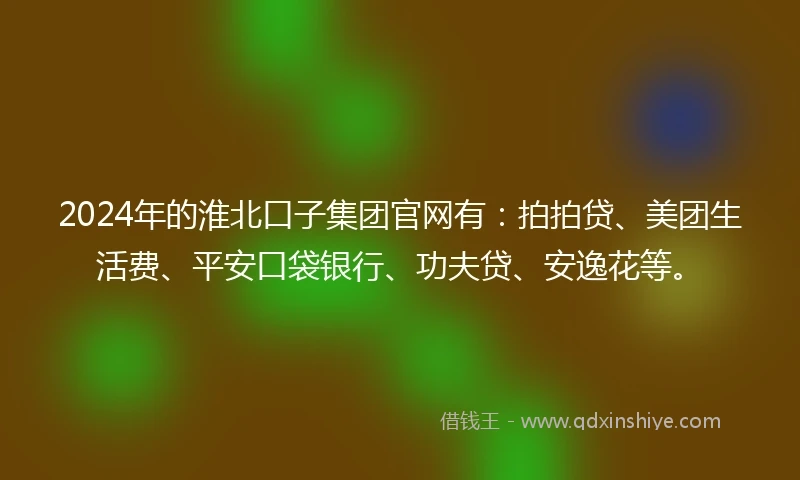 2024年的淮北口子集团官网有：拍拍贷、美团生活费、平安口袋银行、功夫贷、安逸花等。