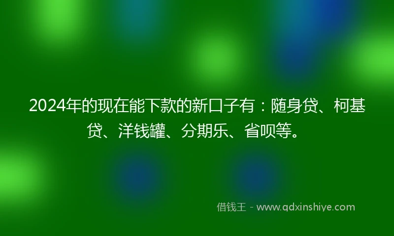 2024年的现在能下款的新口子有：随身贷、柯基贷、洋钱罐、分期乐、省呗等。