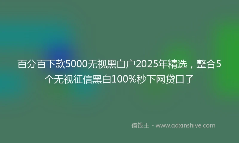 百分百下款5000无视黑白户2025年精选，整合5个无视征信黑白100%秒下网贷口子