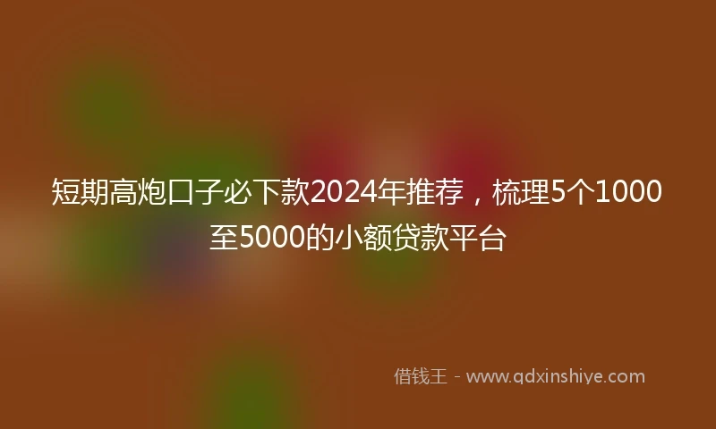 短期高炮口子必下款2024年推荐，梳理5个1000至5000的小额贷款平台