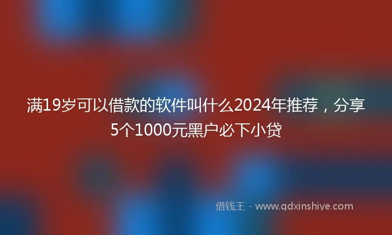 满19岁可以借款的软件叫什么2024年推荐，分享5个1000元黑户必下小贷