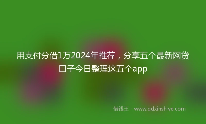 用支付分借1万2024年推荐，分享五个最新网贷口子今日整理这五个app