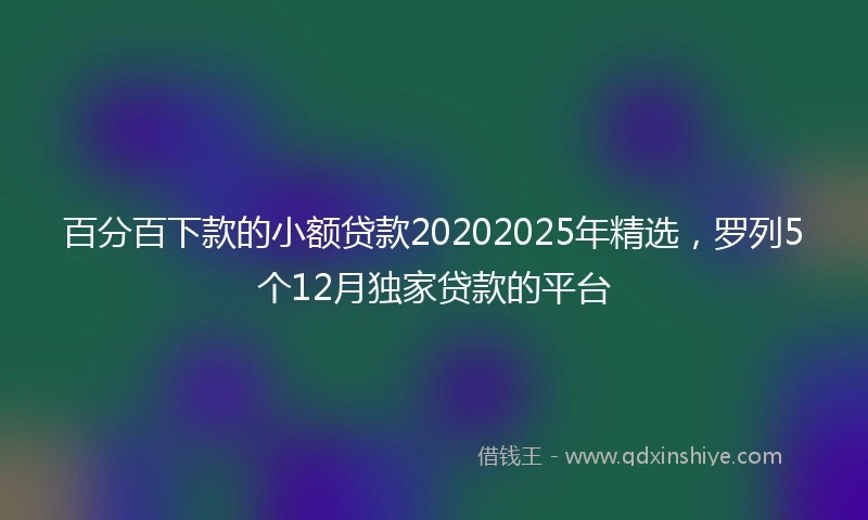 百分百下款的小额贷款20202025年精选，罗列5个12月独家贷款的平台