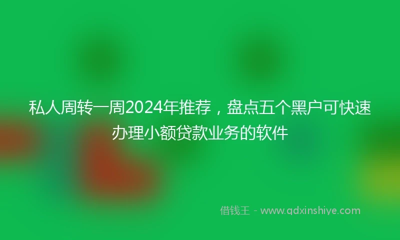 私人周转一周2024年推荐，盘点五个黑户可快速办理小额贷款业务的软件