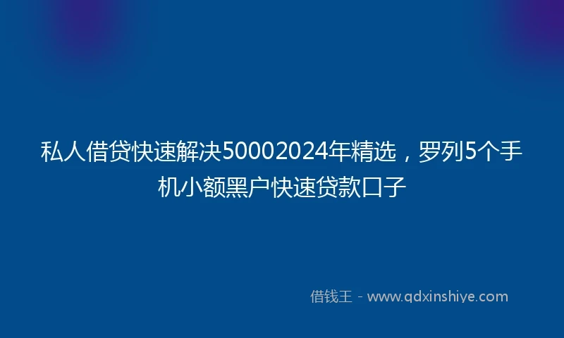 私人借贷快速解决50002024年精选，罗列5个手机小额黑户快速贷款口子