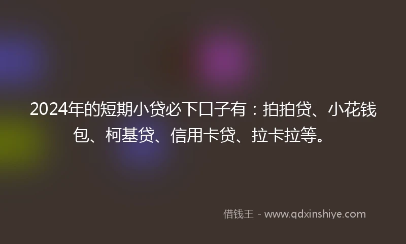 2024年的短期小贷必下口子有：拍拍贷、小花钱包、柯基贷、信用卡贷、拉卡拉等。