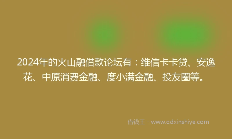 2024年的火山融借款论坛有：维信卡卡贷、安逸花、中原消费金融、度小满金融、投友圈等。