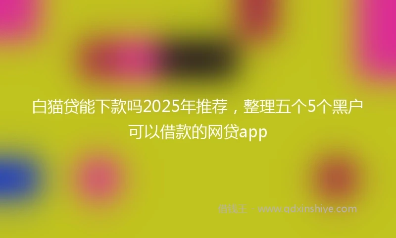 白猫贷能下款吗2025年推荐，整理五个5个黑户可以借款的网贷app